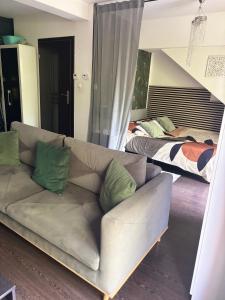 Apartament Trocera