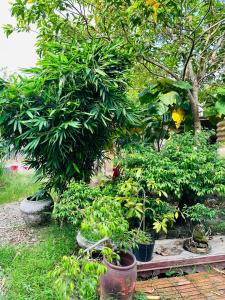 Tati Homestay