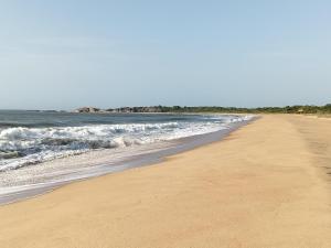 Whisker & Waves, Panama