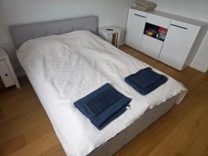 Spacious and cozy apartment in Tartu