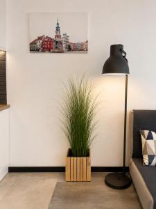 Miko Apartment 1