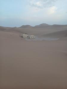 Sahara Caravan