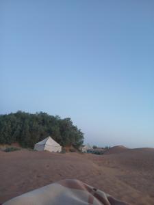 Sahara Caravan