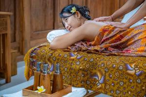 Umana Ubud Eco Villa