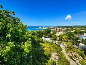 Stunning Gated Apartment in Ocho Rios
