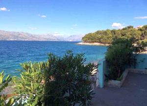 Apartments Sova