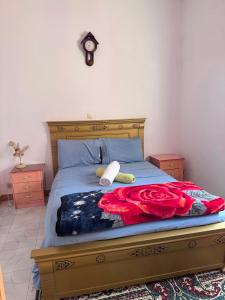 Polinas house Big spacious Appartment at Tangier
