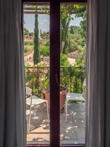 Aloni Retreat