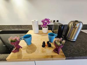 Serene one bedroom apartment in Luxembourg center