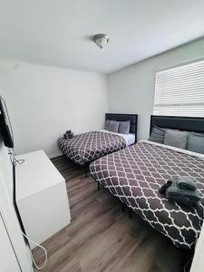 Modern Suite | Top Location & Views