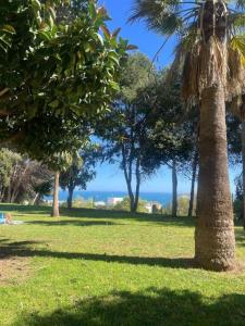 Estudio con Piscina y Jardines Benalmadena
