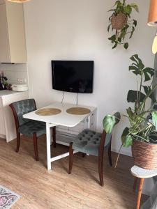 Light-flooded Apartment With