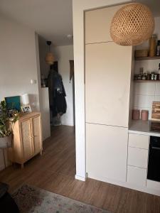 Light-flooded Apartment With