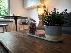 City Tiny House