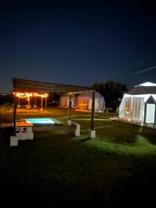 Vineyards Experience