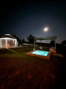Vineyards Experience