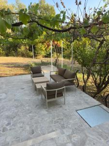 Wild Beauty Premium Apartment