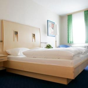 Single Room room in Hotel Krone