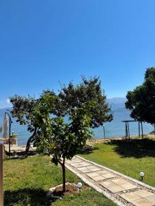 Lakefront House