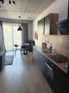 Apartament Centrum Premium