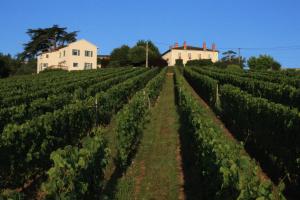 Pension Domaine du Fontenay Villemontais Frankreich