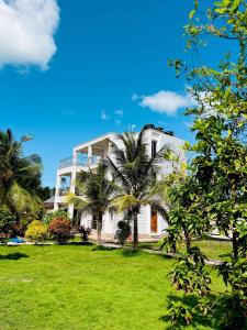 Palm Paradise