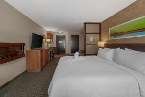 Holiday Inn Hotel & Suites Edmonton Airport Conference Centre by IHG