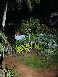 Moon light villa
