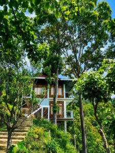 House On The Clouds Farmstay- Relling