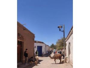 Hostal Sonchek