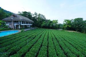 Nhà nghỉ trọ Phố Đình VIP