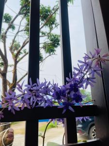 Nhà nghỉ trọ Phố Đình VIP