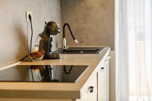 Apartment Frane Zadar