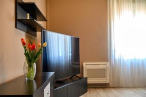 Apartment Frane Zadar