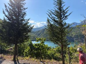 Lakeview Escape