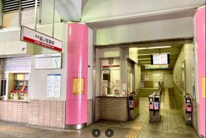花渓居 三叶 晴岚