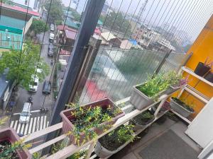 Teamaangs Homestay