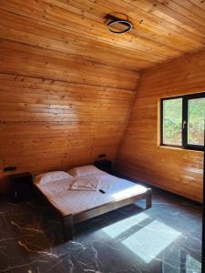 Cabana Alexandra A-Frame Poarta Transfăgărășanului