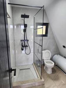 Cabana Alexandra A-Frame Poarta Transfăgărășanului