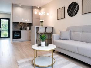 Apartament WHITE GLOVE VIDOK