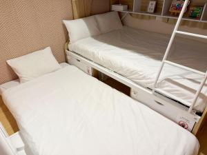 Asakusa Skytree easy access to airport 2 guests