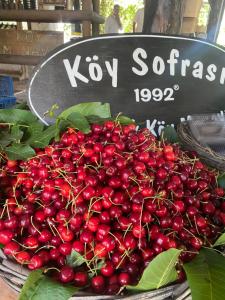 Agroecology and gastronomy
