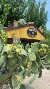 Agroecology and gastronomy