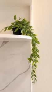 Levi Living - An Thuong 19