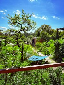 Domy w ogrodzie - Riverfront cabins