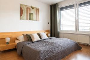 Large two-room apartment near city centre