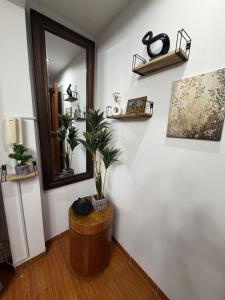Cozy apartment in Los Olivos 3 people