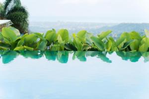Ultra Winds Mountain Resort