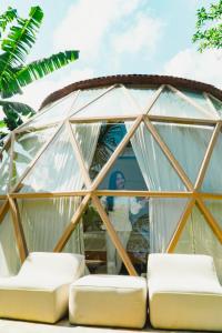 Alma Domes