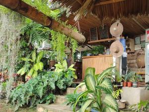 Payag n Kapitan, Experience Pinubre Living